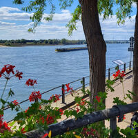 Schöner Blick auf den Rhein