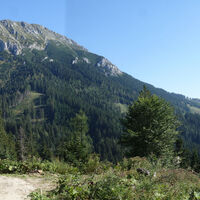 Blick zurück zur Hohen Veitsch
