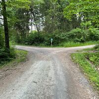 Waldkreuzung