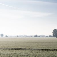 Winterlicher Dunst über den Feldern