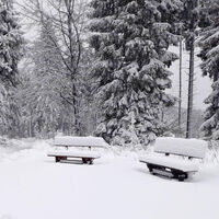 Bänke im Schnee