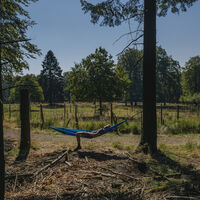 Baumelstation am Wild- und Wanderpark Weiskirchen