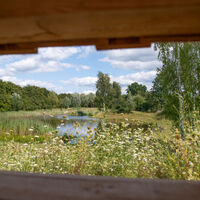 Nieheimer Tongruben - Ausblick vom Beobachtungsstand.jpg