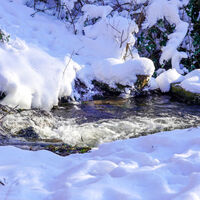 Winterlicher Sennebach in Schloß Holte-Stukenbrock