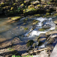 Fitnessrunde Mutlangen 3