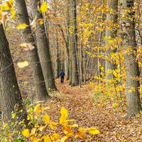 Wandern am Neetze-Kanal