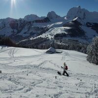 Schneeschuhtrail Selibüel-Panoramatrail