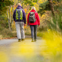 Herbstwanderung im Wald