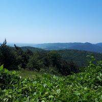 Aussicht von Trifelsblickhütte