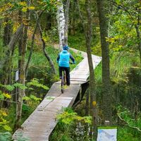 Jyri Trail, Nuottilammen Pfadbrücke