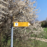 Wegweiser im Blütenmeer