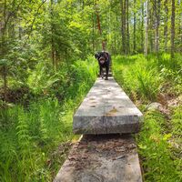 Entlang der Abschnitte