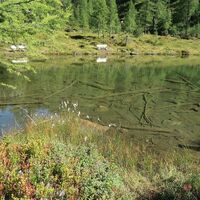 Ruhebänke am Untersee