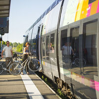 Weinberg-Radweg Elsass - Bahnhof Obernai