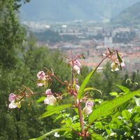 mtb leoben laintal runde le 2_img_33120723