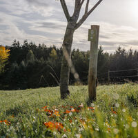 Waldretter-Trail_Herbst_HighRes-4