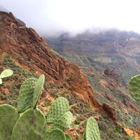 Barranco de Guayadeque