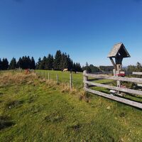 Wallfahrerkreuz Haberlstallalm_Naturpark Almenland_Oststeiermark