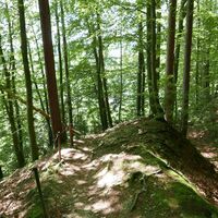 Altwartenburg: Abstieg Richtung