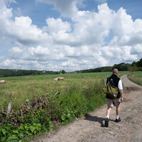 Feldweg auf der Dreitälertour © Johannes Höhn