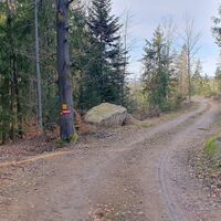38.0 km Links: Trailstart, rechts: Alternative Straße