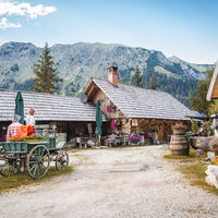 Ebneralm entlang der Almenrunde