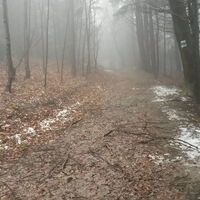 Abstieg nach St. Corona