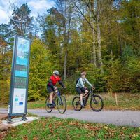 Fahrrad ohne Grenzen
