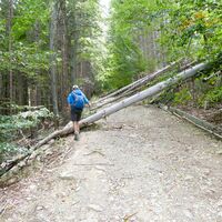 Wanderweg auf den Vitosha, Sofia