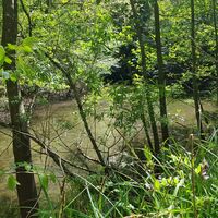 Weiher im Hollertal nahe Clausen