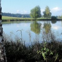 Albrechtserteich