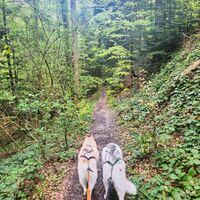 Wanderung Oberwarngau Taubenberg
