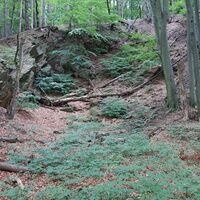 Felsformation nahe Hohenauvorgipfel