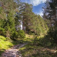 Wanderweg zur Birzlkapelle