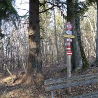 Schwabeck  Richtung Bichlberg