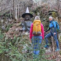 Wurzelskulptur im Aufstieg