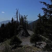 Schwabenbartl - Windgrube - Mittereralm - Fölzalm