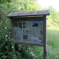 Hin und wieder geben Infotafeln Auskunft zu verschiedenen Themen in der Natur.