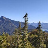 Blick Richtung Schafberg