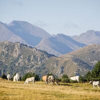 Plateau de Beille