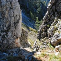 Die Riegerin (1939 m) aus dem Brunntal