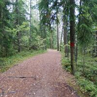 Parkinmäen Naturpfad