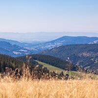 Blick vom Stübenwasen