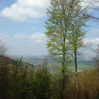 Blick von unterhalb des Dreimerkers Richtung Donnerberg