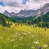Val San Nicolò - Pozza ©Archivio APT Val di Fassa
