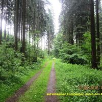 Naturweg im Zangenbachtal