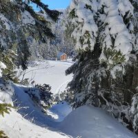 Wolfgang-Dirnbacher-Hütte
