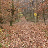 Wegkreuzung Nordwestseite Hohenwartberg