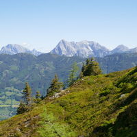 Gesäuseblick