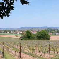 ... und Ausblick genießen.